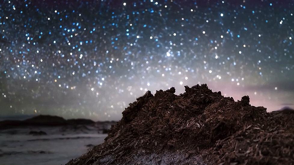 [图]抖音上大火的纯音乐《告白の夜》,一首能触动人心的曲子