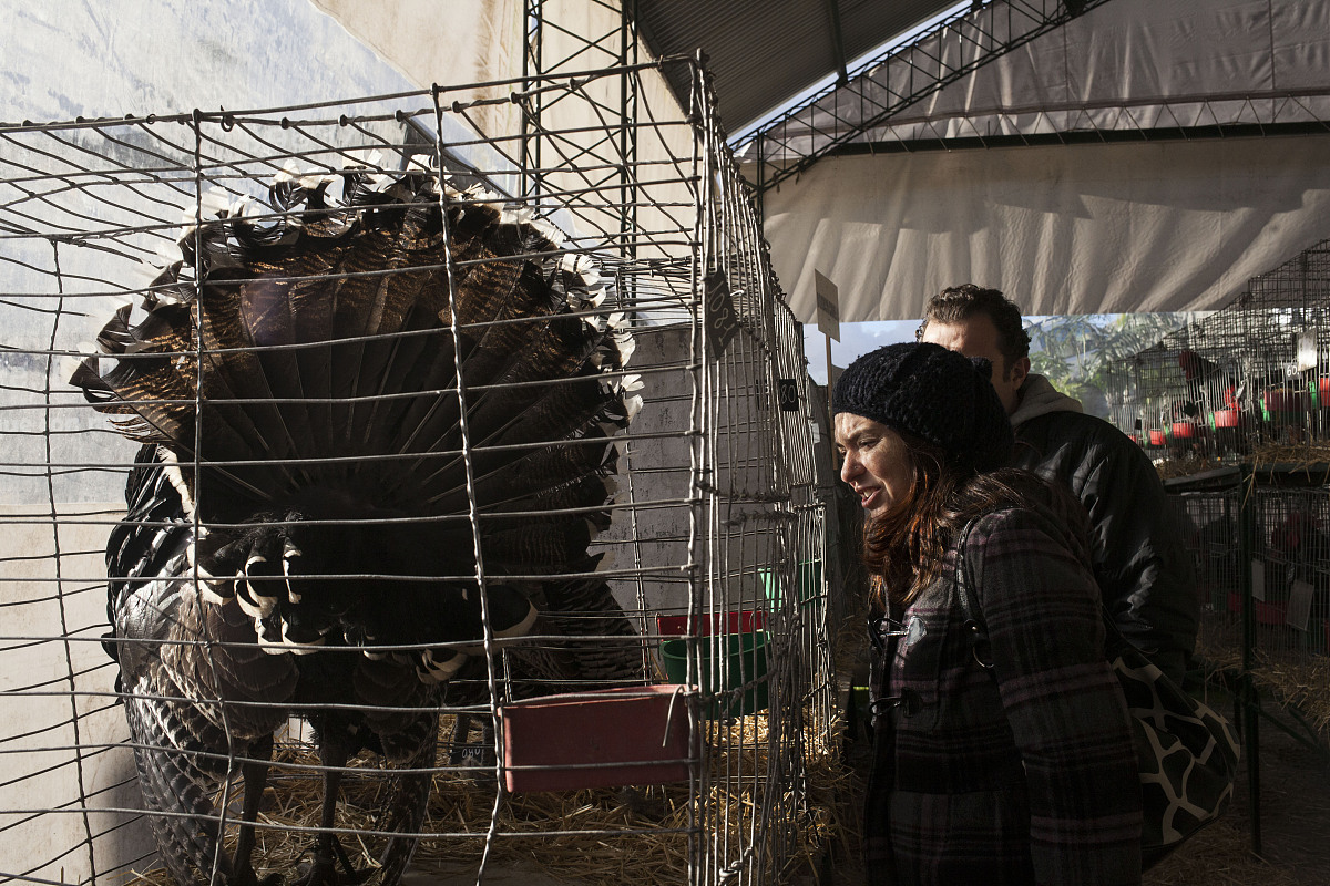 务川中等职业学校开设有哪些专业畜牧兽医专业好学吗