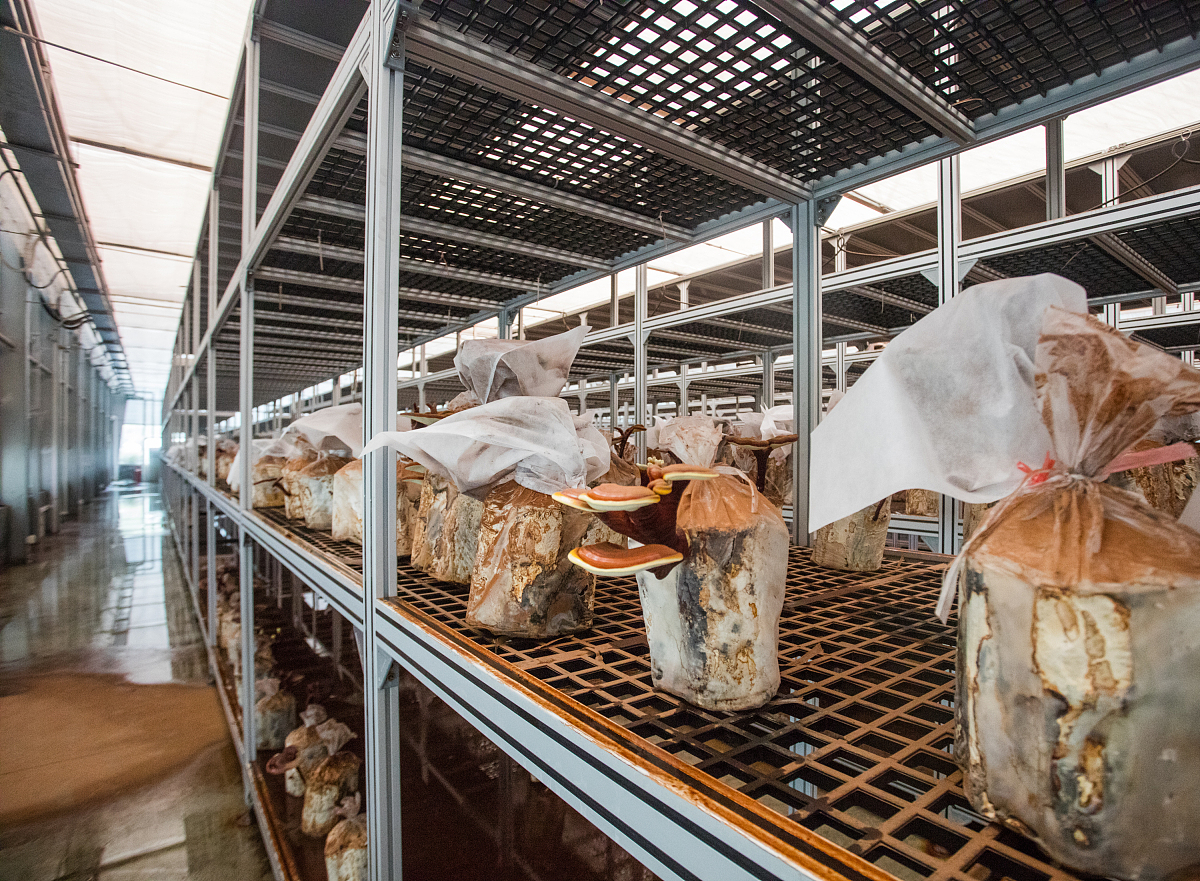 浙江大学研究生招生网：报考浙大研招信息指南