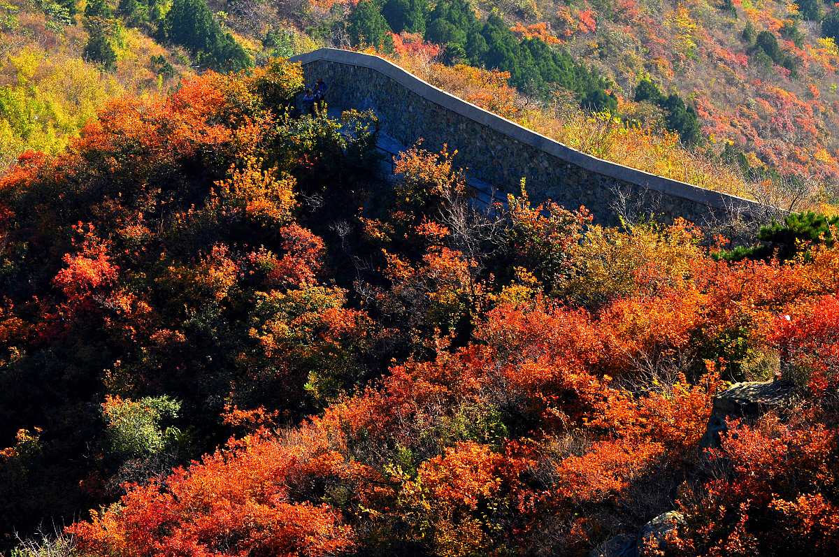成都市工程职业技术学校旅游与饭店管理专业怎么样？课程内容、优势及就业前景