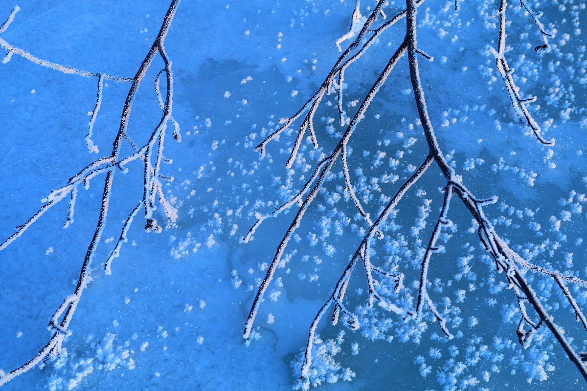 请帮我写1篇不少于800汉字的博客文章语言要幽默接地气。主题是：隆冬是什么意思