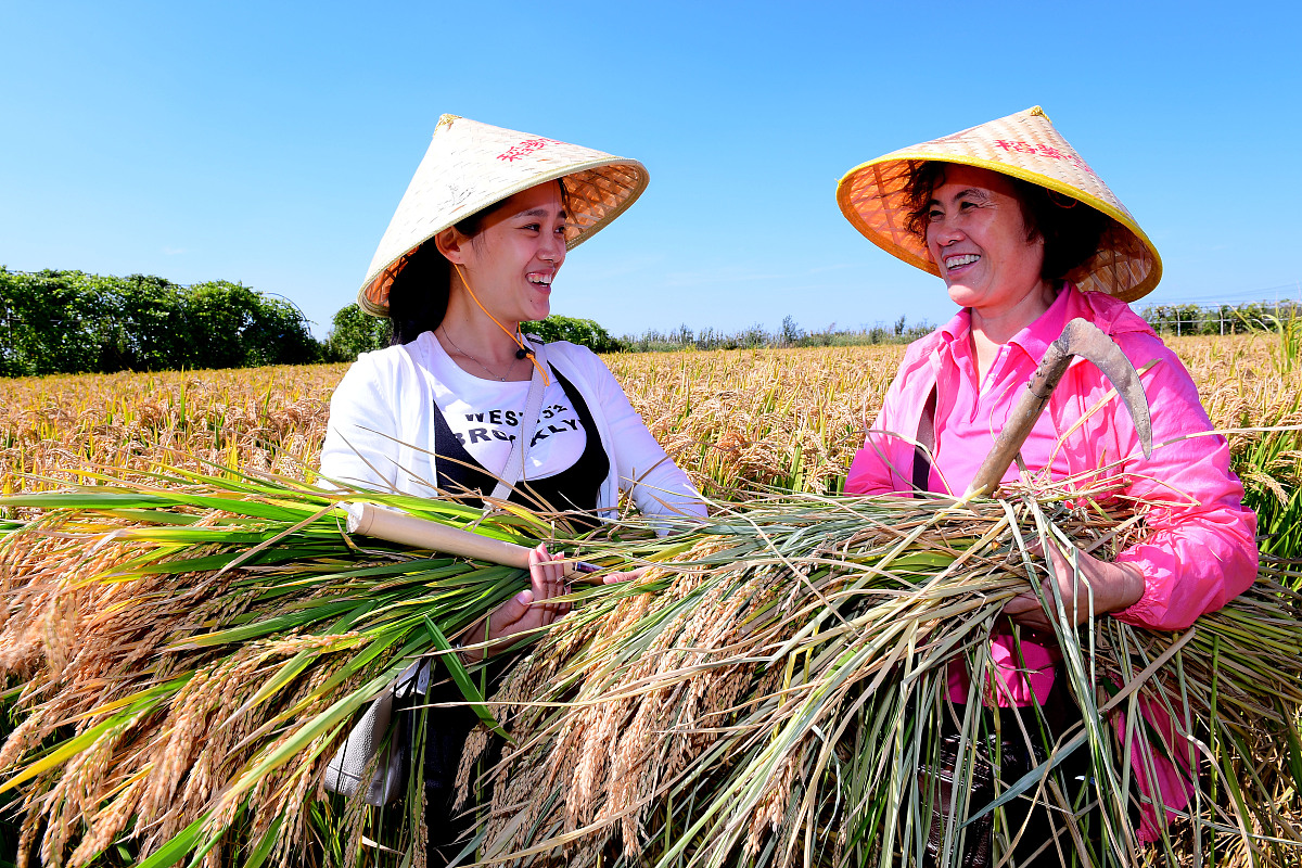 品种试验、登记、审定流程详解