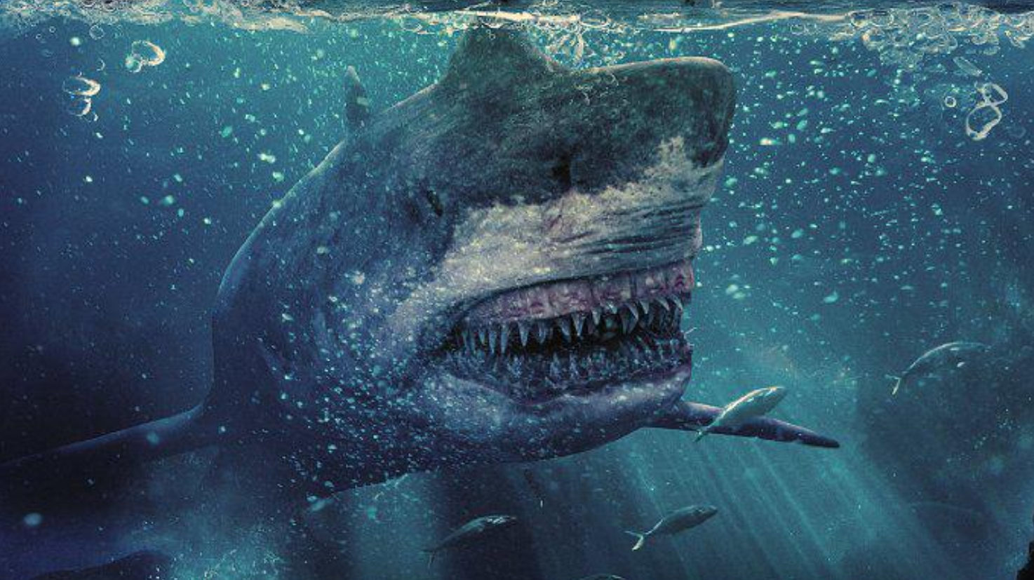 鲨鱼携带丧尸病毒,被伤过的人都变成丧尸,一部奇幻丧尸鲨鱼电影