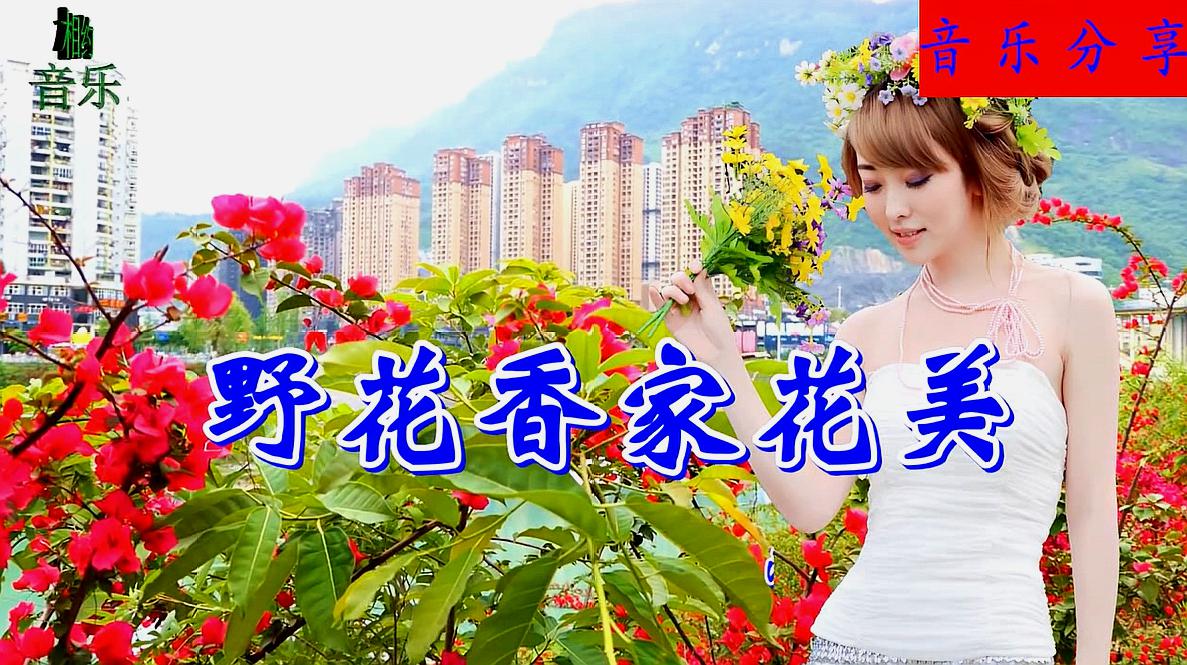 [图]一首情歌《野花香家花美》唱的实在,接地气,超级好听!