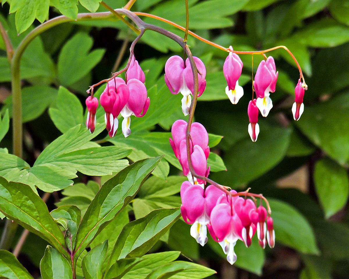 我需要你作为一名SEO帮助我把对应的关键词变为包含多个需求且吸引人的SEO长标题但要注意长标题不可以是疑问句以下是内容：4月份的宝宝孕妇待产包