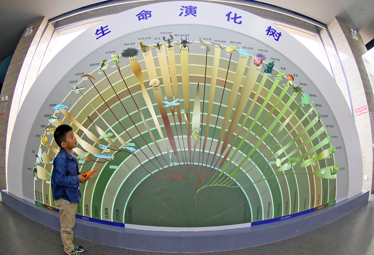 ***_***2016年05月19日,山东省烟台市,一名小朋友在莱阳白垩纪国家地