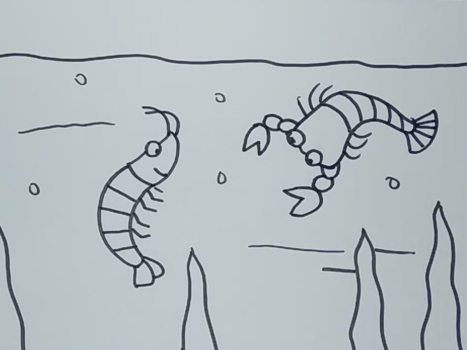 简笔画小虾 简单好学