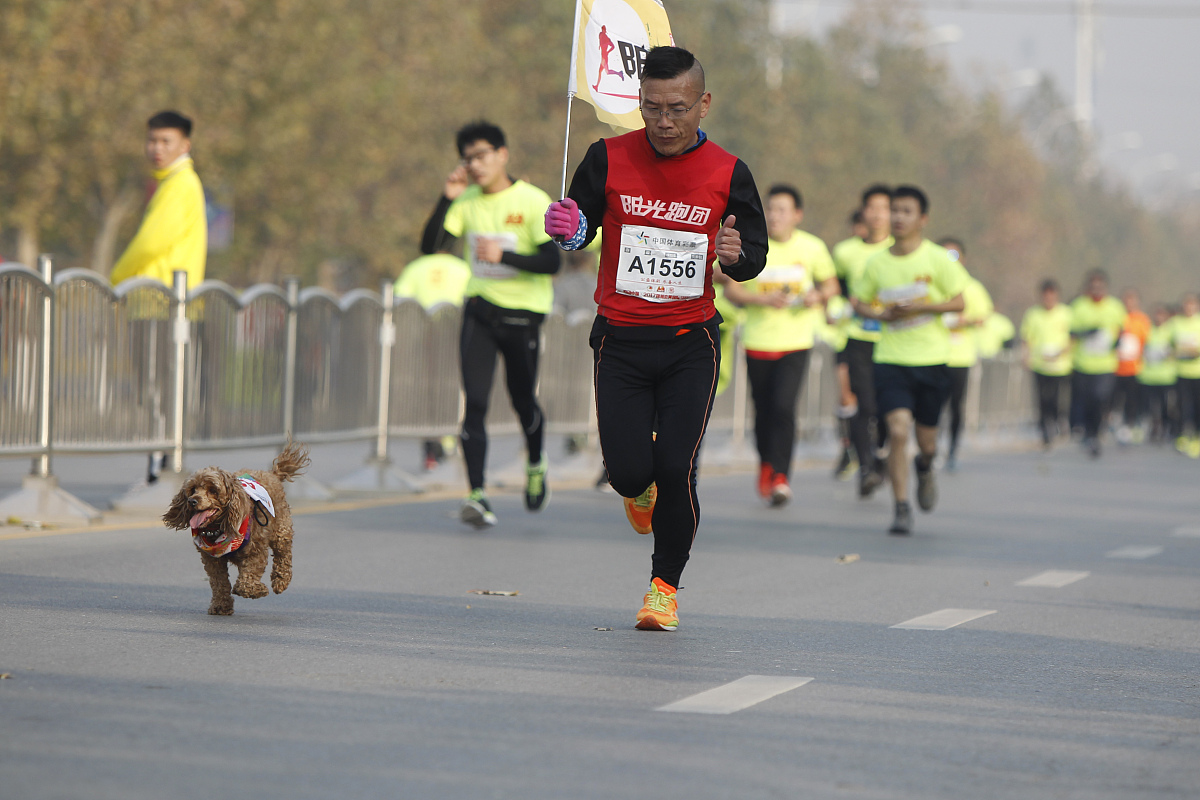 国际教师毅力研究: 深入探讨与中国差异