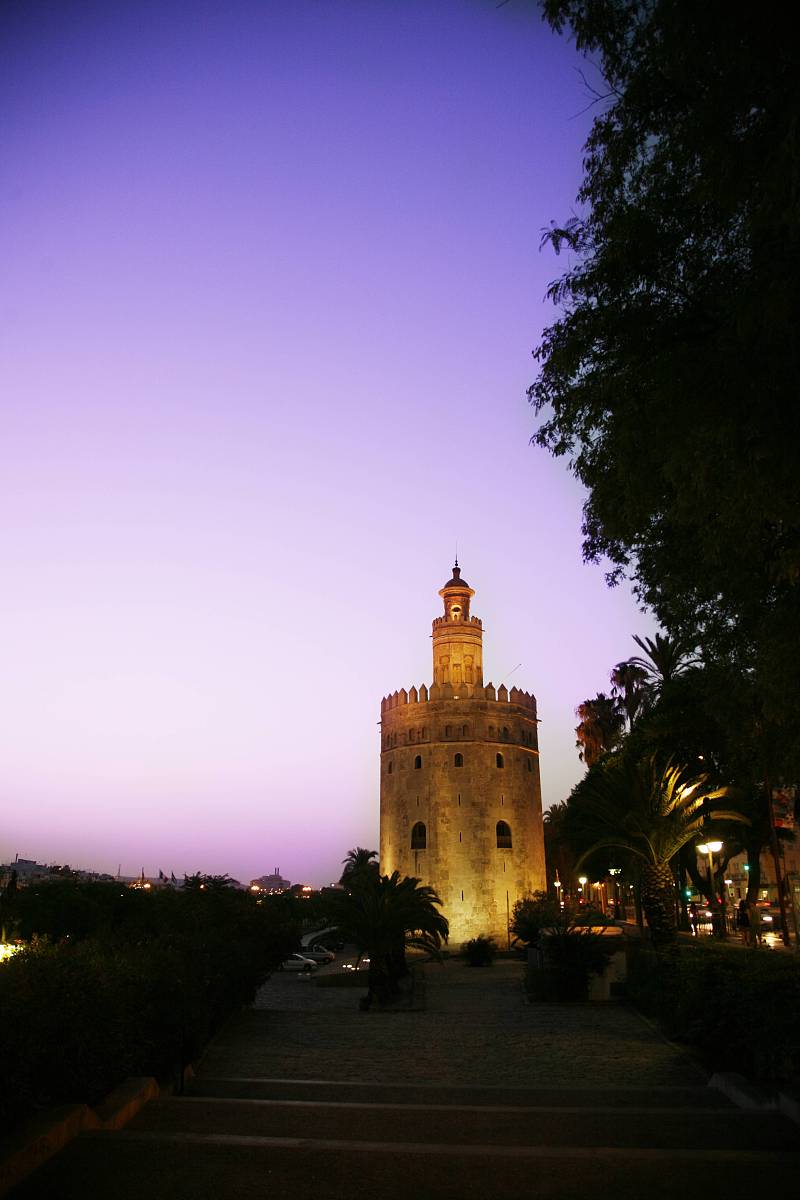 你好您好！有什么可以帮到您呢？你能够为我做一份自助游旅行的策划书吗？