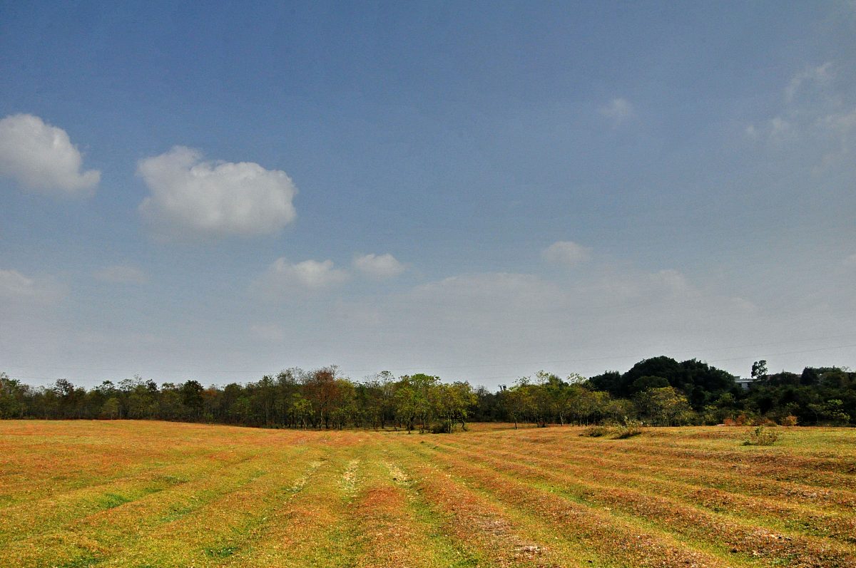 江西旅游商贸职业学院韩语专业怎么样？实用性分析