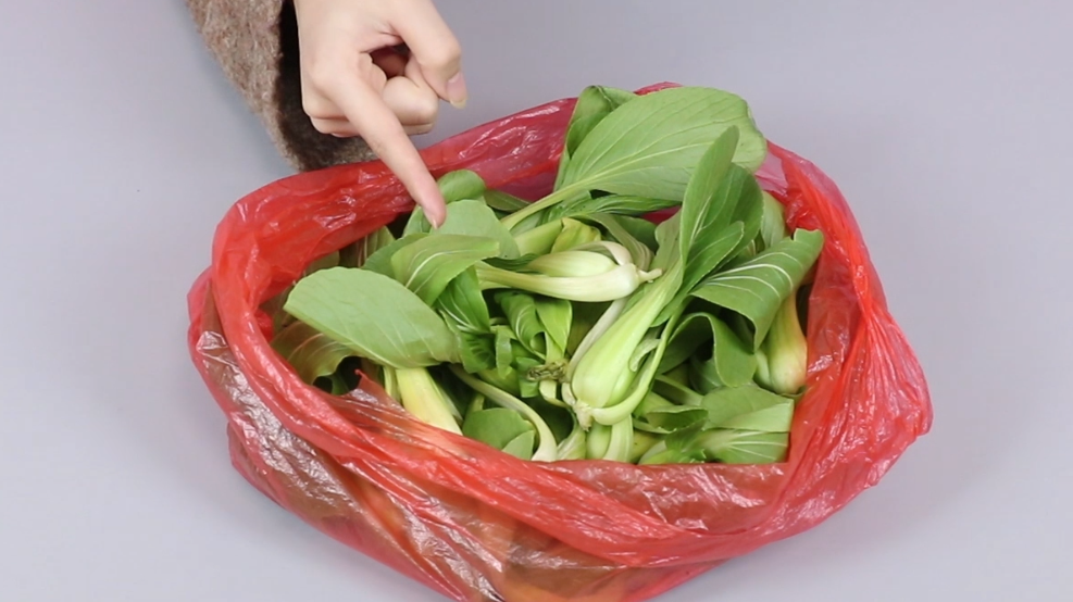 购买油菜时,要挑选这样的,这样的油菜新鲜还好吃,快看看