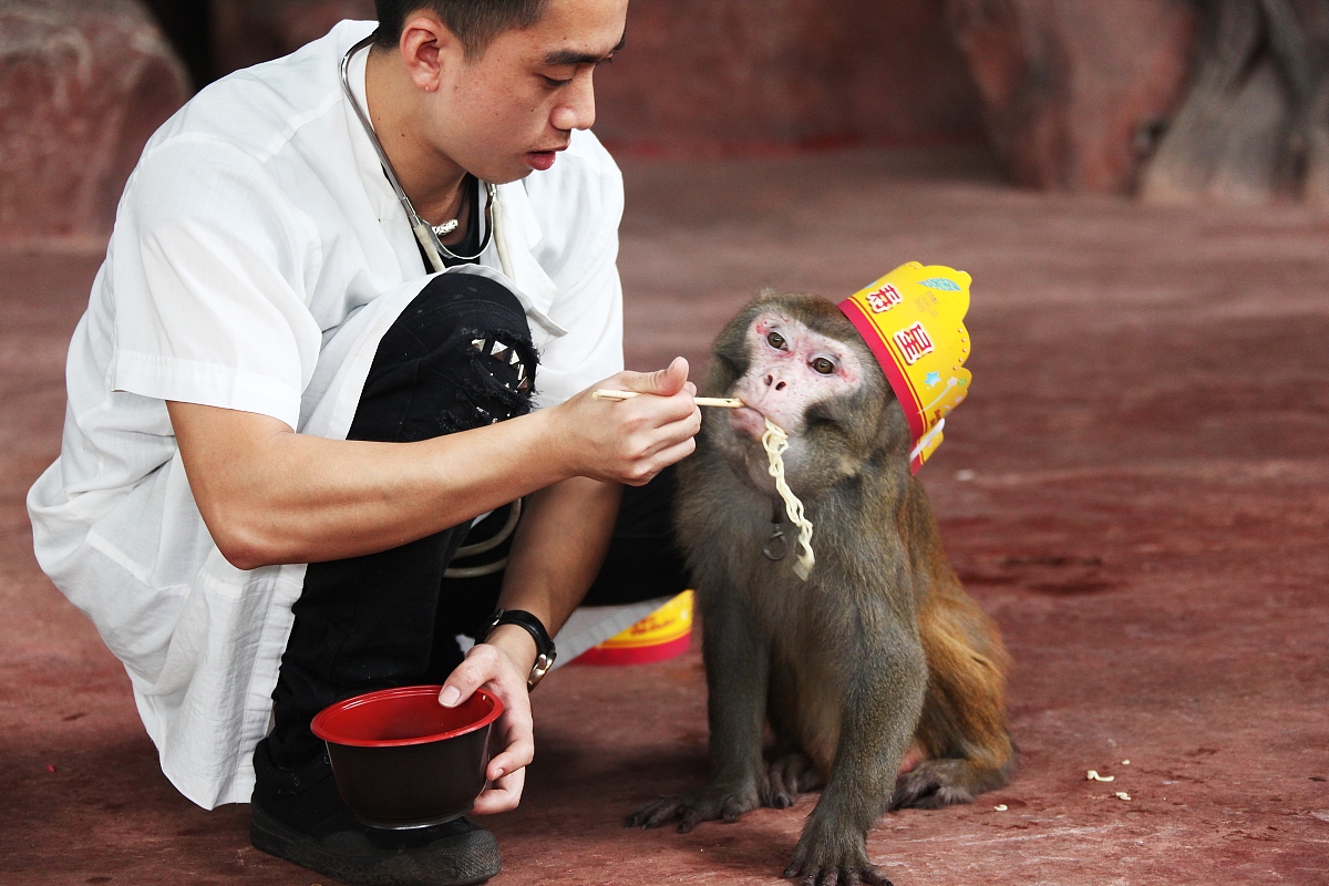 厦门2023重阳节尊老敬老的手抄报内容40字