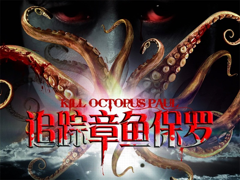 追踪章鱼保罗