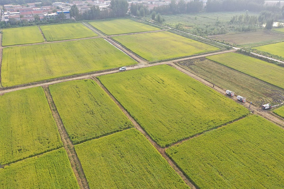 邯郸技师学院农业机械化专业怎么样？就业前景和教学质量分析