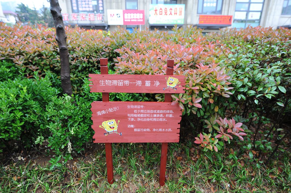 详细分析空间治理背景下如何通过加强政府领导与机构的合作实施海绵城市规划