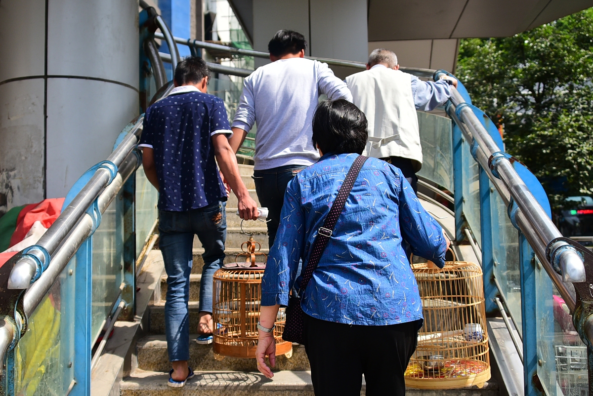 遵义医学院官网网址及联系方式 - 联系我们