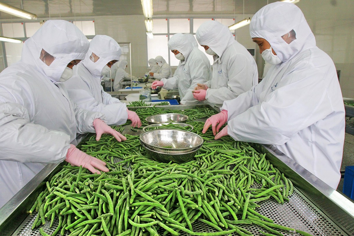 进出口代理 进出口代理