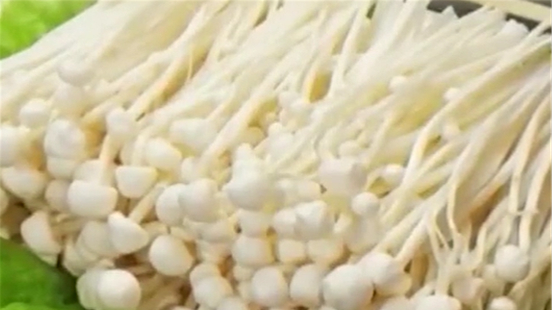 金针菇美誉益智菇  能增强智力 尤其对儿童身高智力的发育有作用