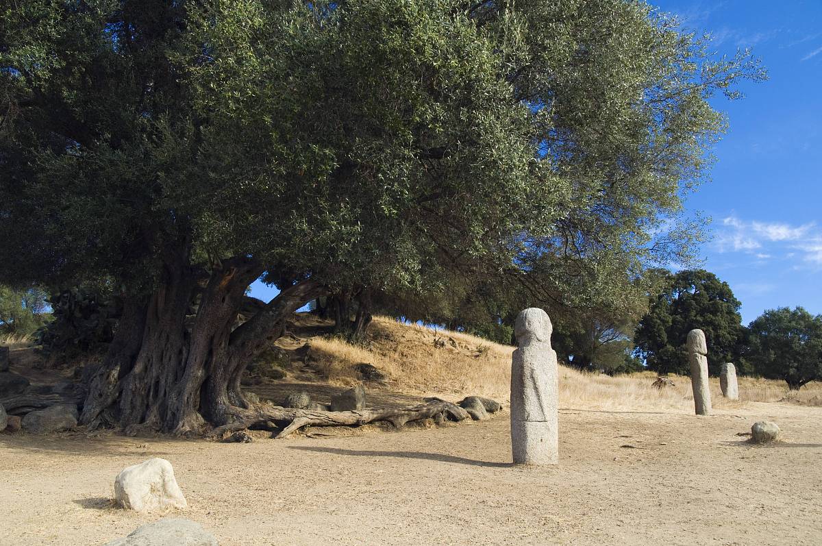 east story 翻译成德语