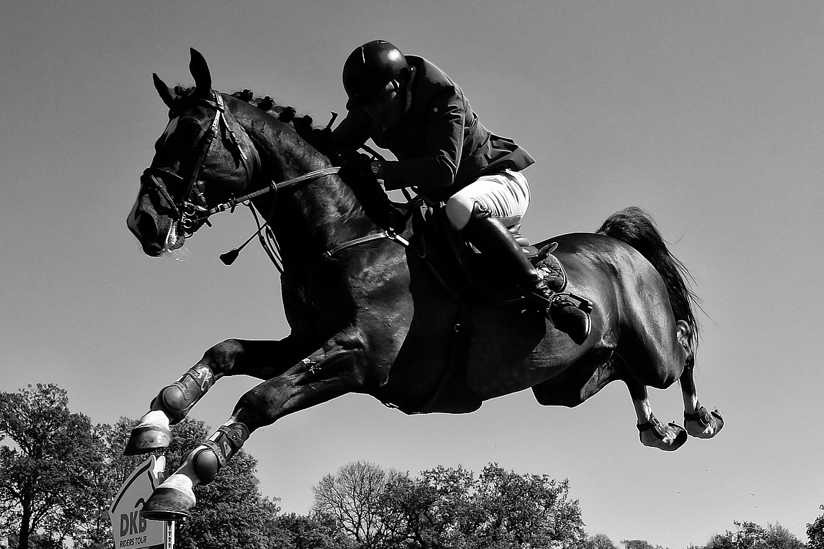 hamburg, germany - may 08:  frederic tillmann of germany riding 