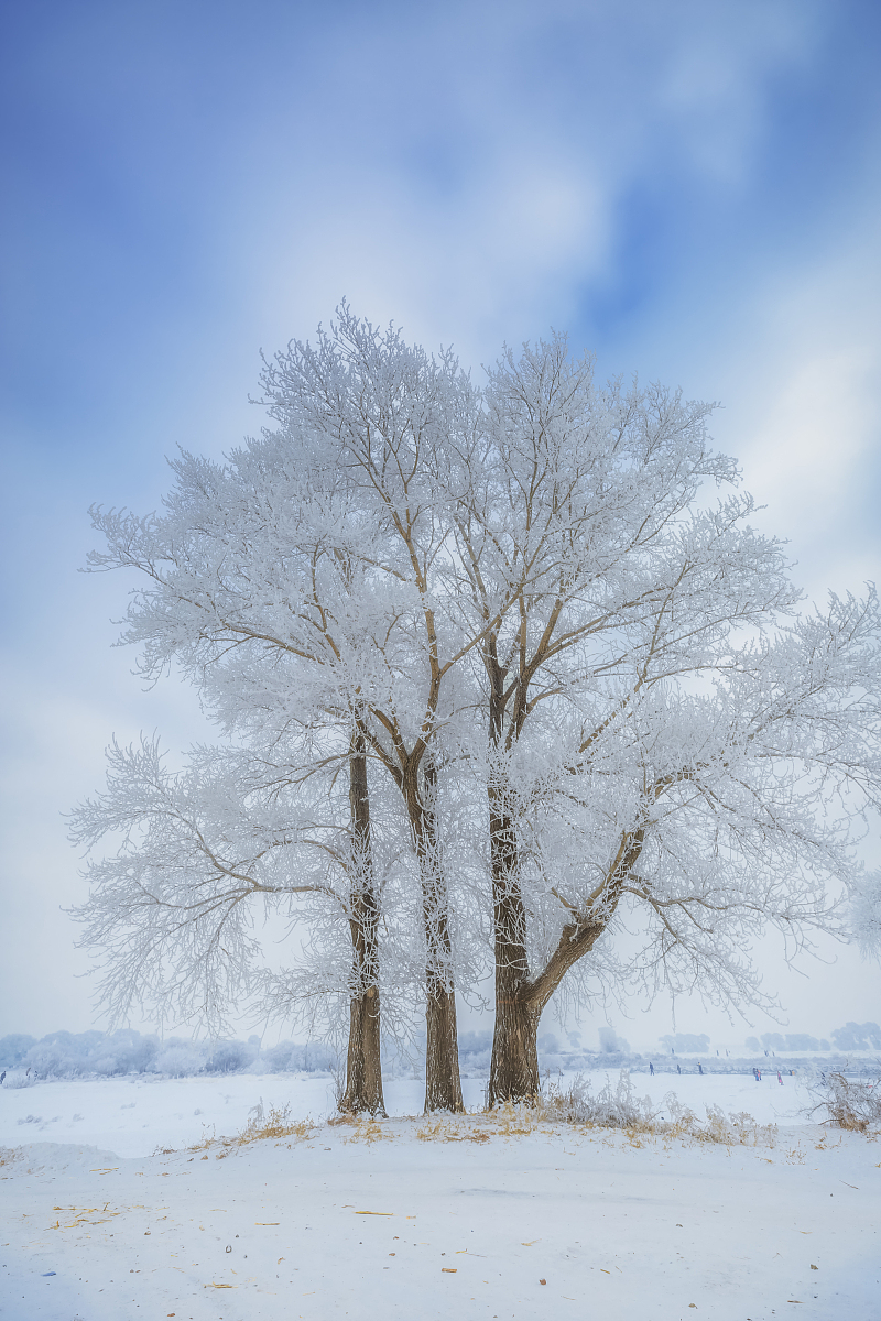 吉林媒体曝光平台大全：曝光渠道+求助热线一览