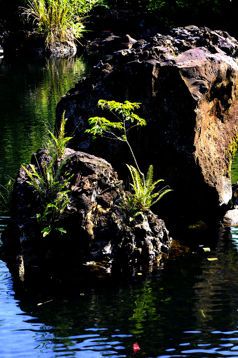 珠海城市职业技术学院旅游管理专业课程设置详解