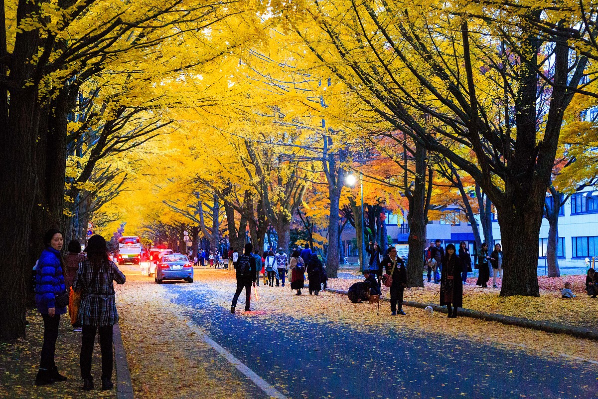 武汉市交通学校计算机应用专业好吗？