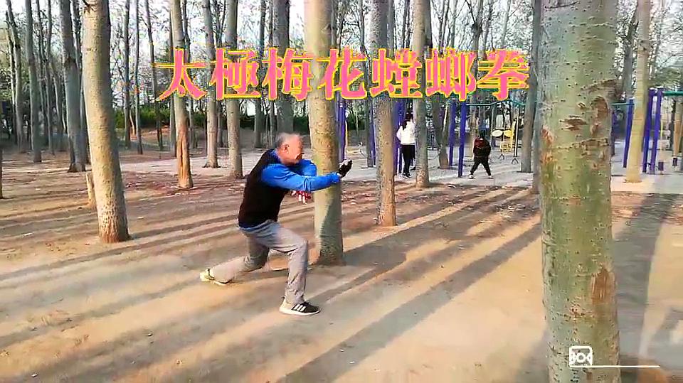 [图]传统武术-太极梅花螳螂拳,六十耳顺之年,习武五十有余!