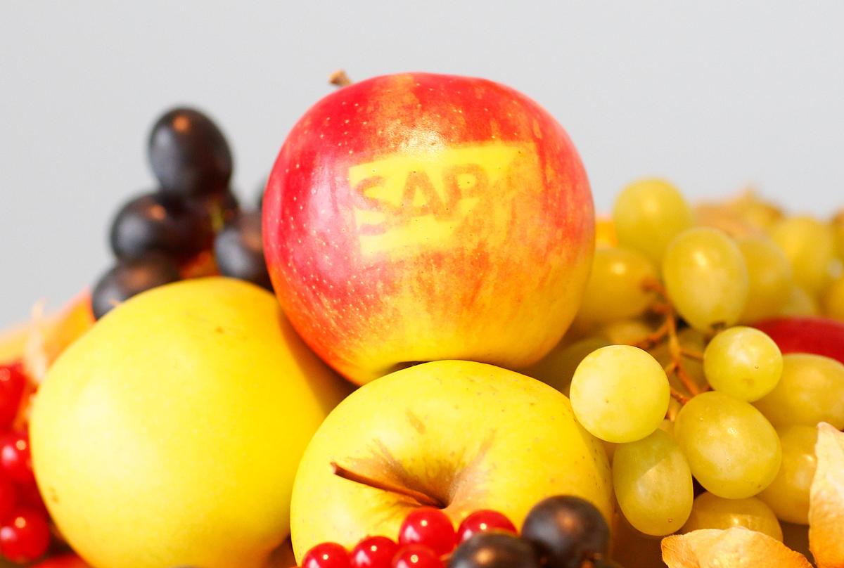 2020年沈阳菁华商业管理学校招生简章