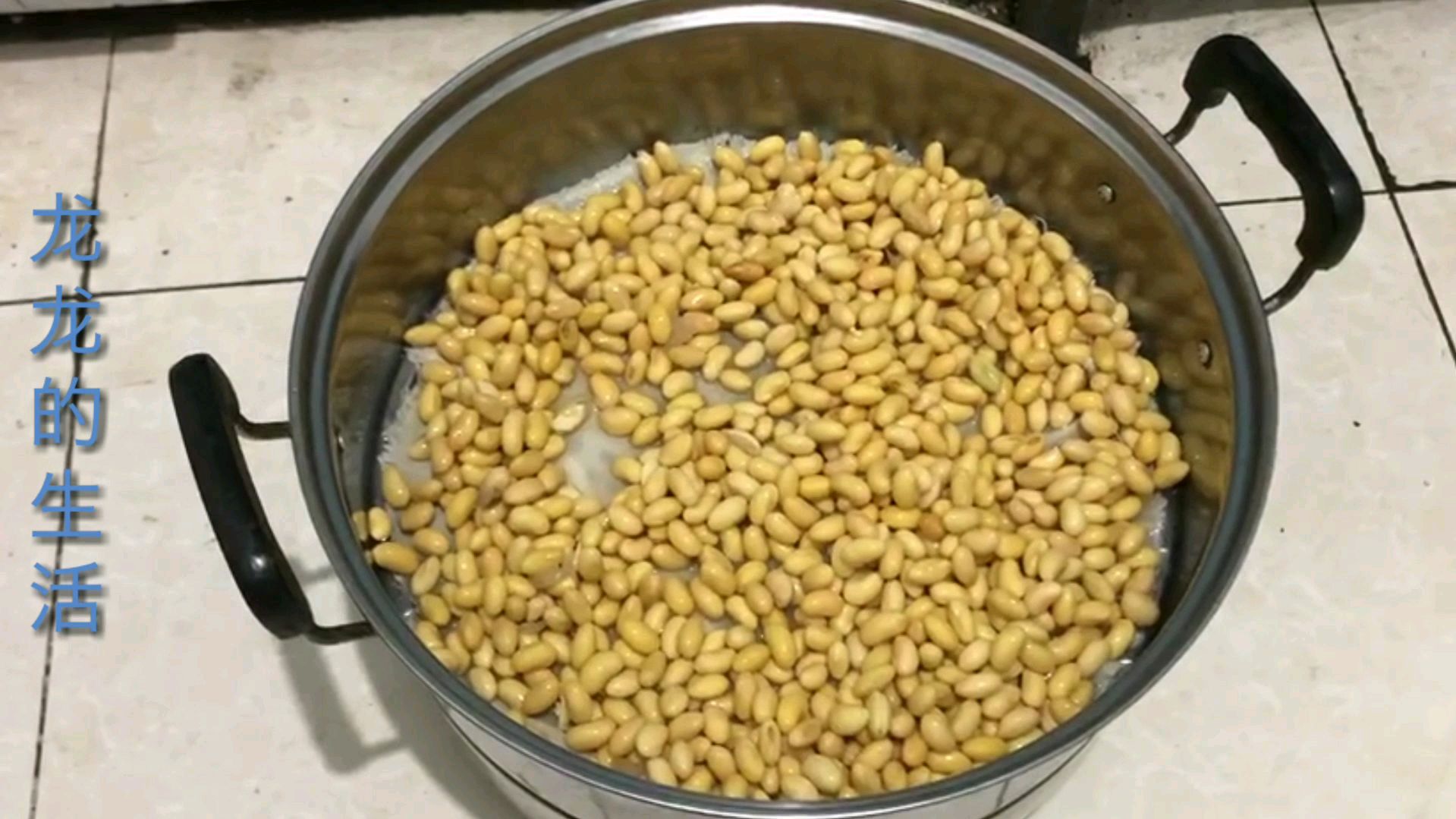 豆芽的制作方法简单你学会了吗