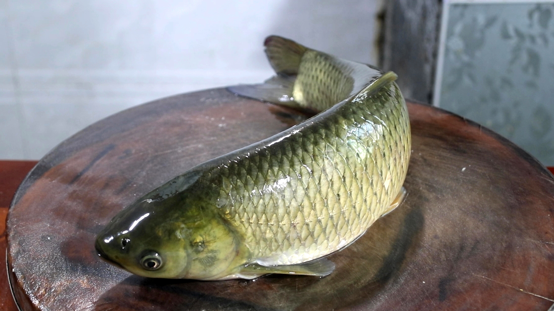 自从学会草鱼这个做法,我家一周吃四次,味道鲜美,越吃越想吃