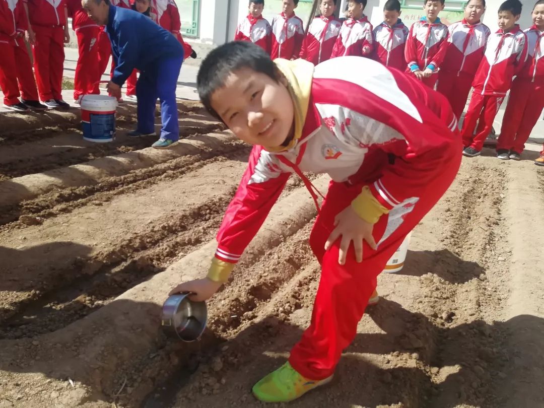 漷县镇中心小学红领巾实践基地体验农耕播种
