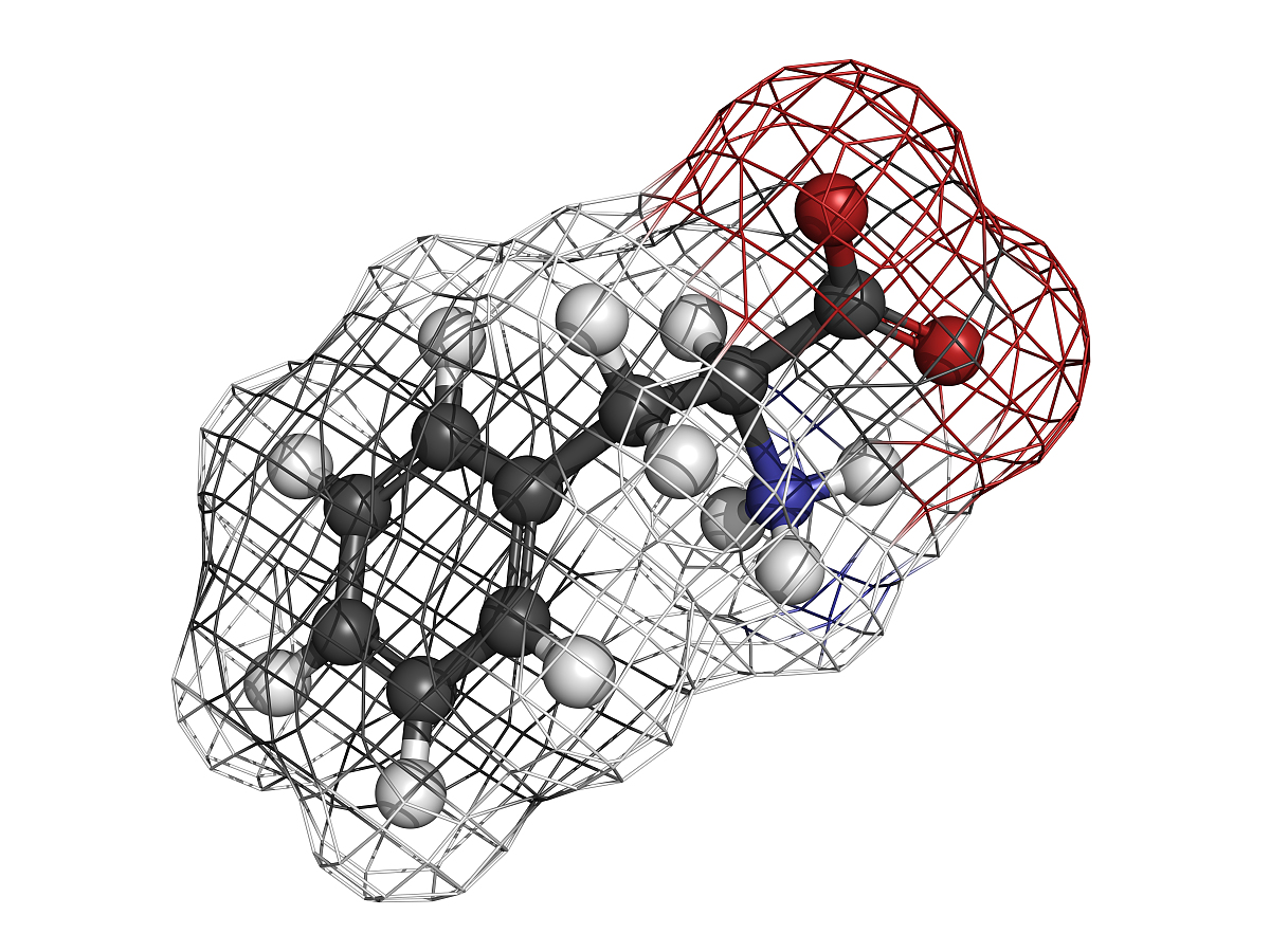 图形学在实际问题中的应用：案例分析与解决方案