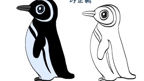 简笔画大全,环企鹅