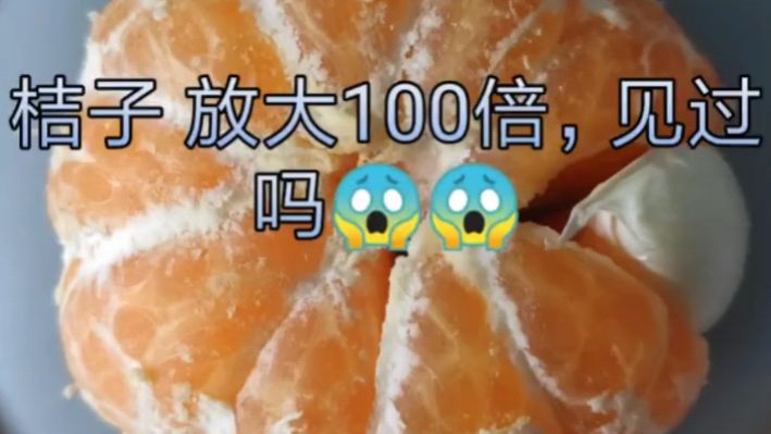 将桔子放大100倍,看看会是什么样子呢?