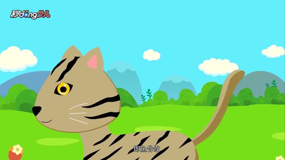 美国银虎斑猫和狸花猫有什么区别呢