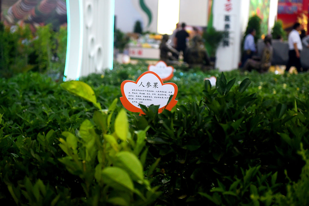 甘肃中医学校专业介绍：2021年招生专业一览