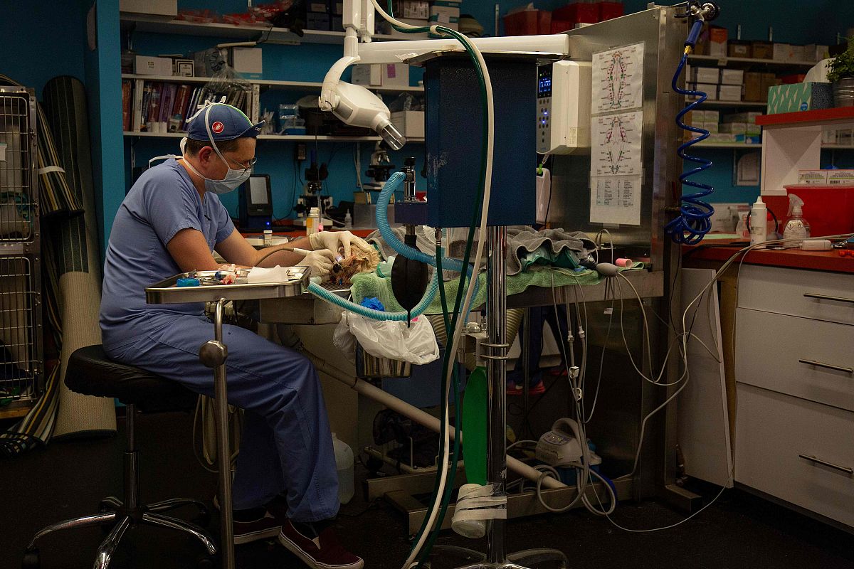 广西玉林畜牧兽医学校畜牧兽医专业前景：未来发展方向