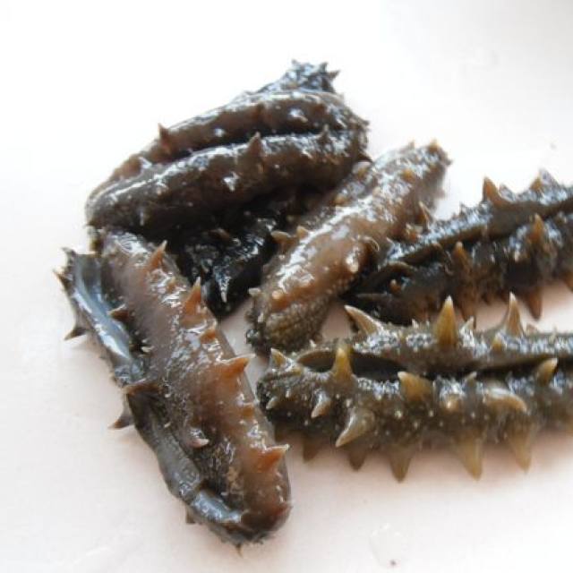 葱烧大蒜,表面放过,海参简单,连汤汁都不丰富做法放久紫色营养图片