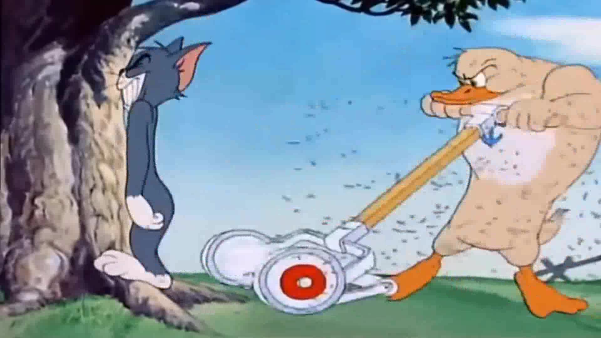 猫和老鼠:愤怒的鸭子爸爸