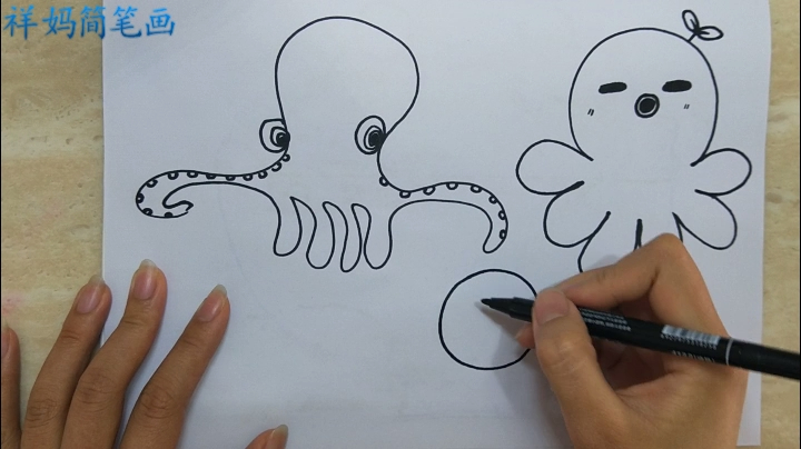 简笔画:手抄报素材卡通章鱼的不同画法