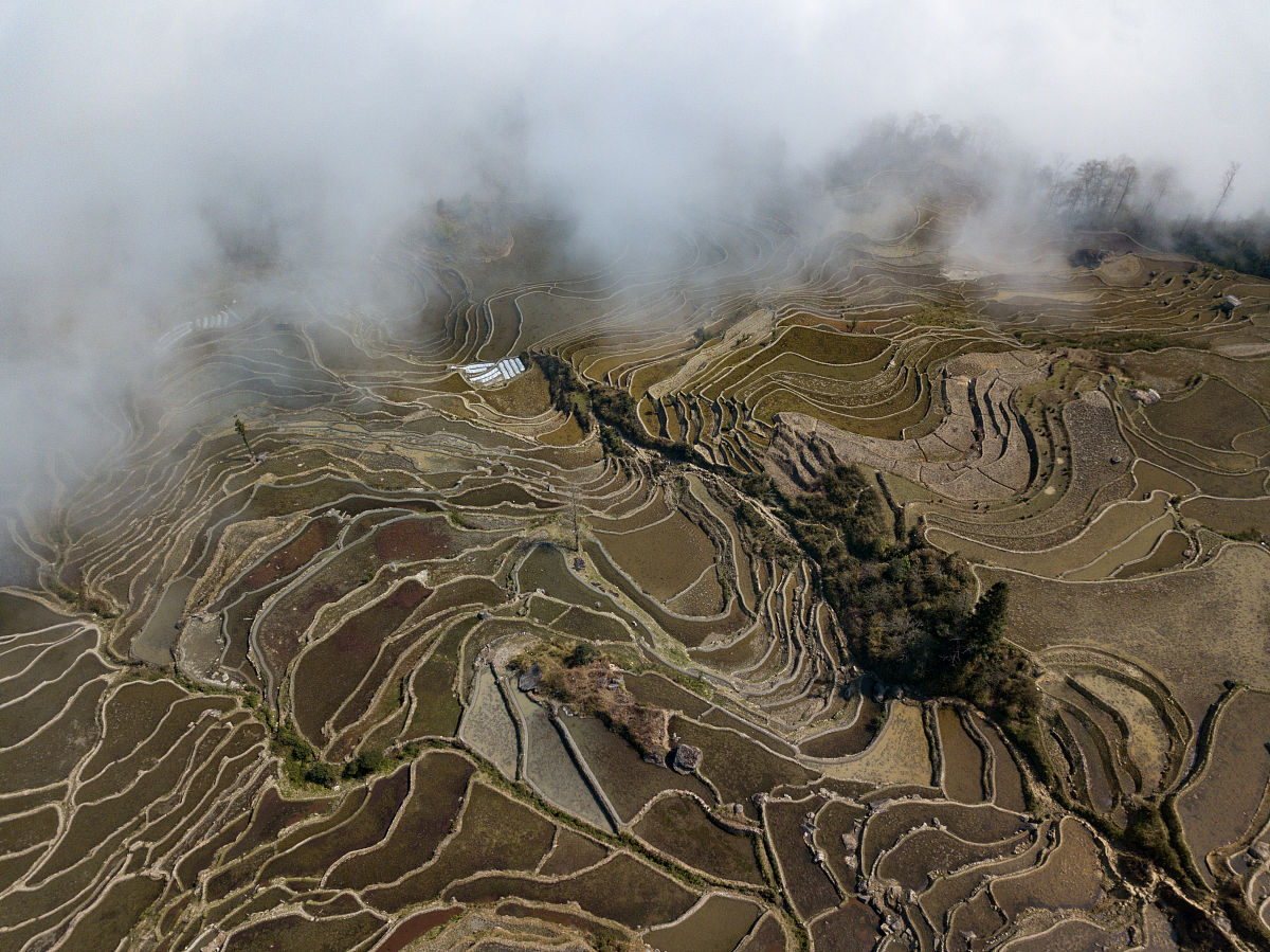 红河哪个职业学院毕业后有前途？就业前景好的院校推荐