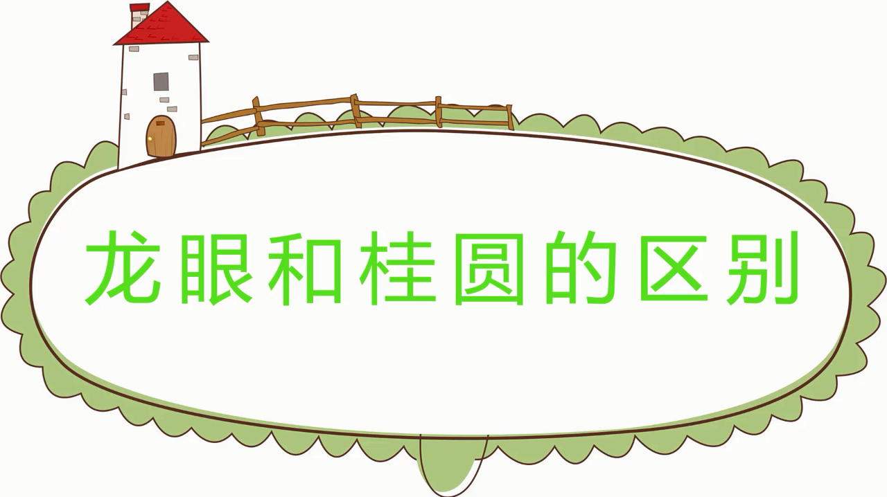 龙眼和桂圆的区别,这几点很容易辨认