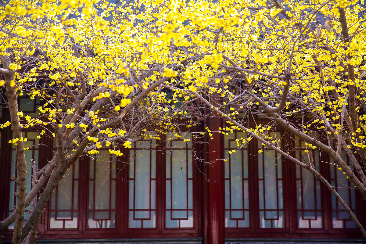 阳泉师范高等专科学校语文教育专业怎么样