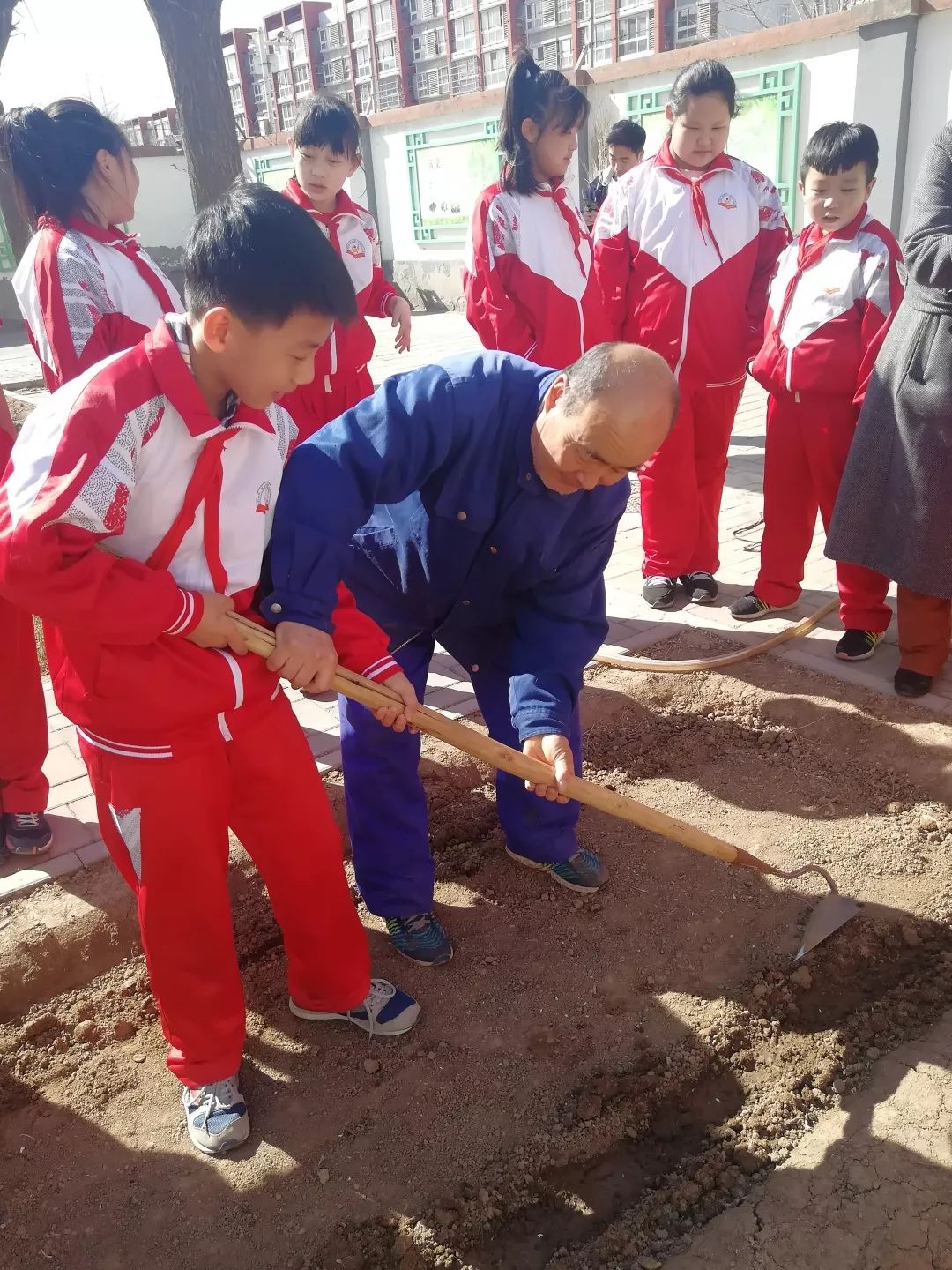 漷县镇中心小学红领巾实践基地体验农耕播种
