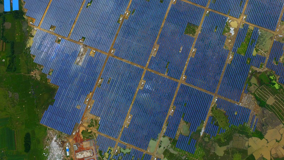 广西农业职业技术学院畜牧兽医专业怎么样？发展前景分析