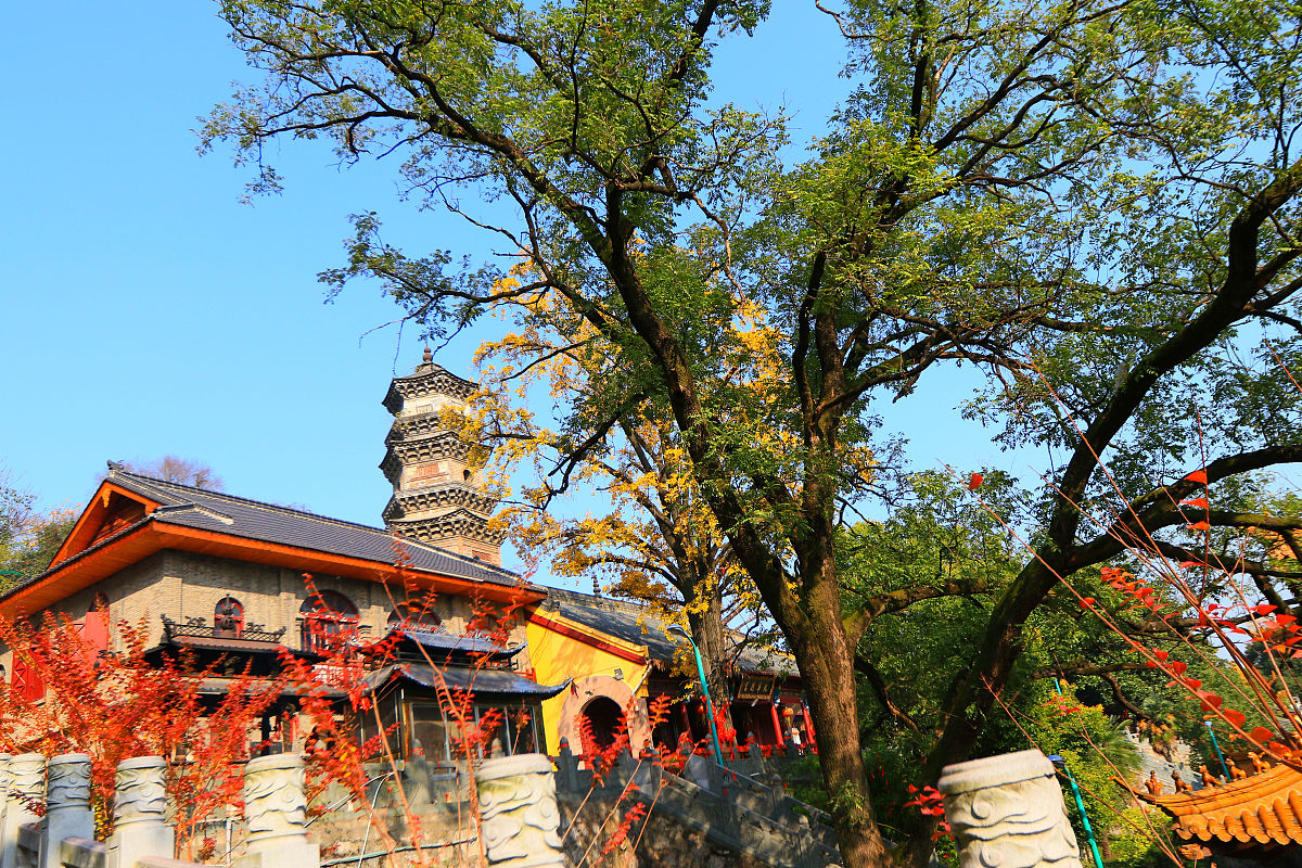 2018年11月24日,安徽省芜湖市赭山公园附近的广济寺内,一个古银杏树已