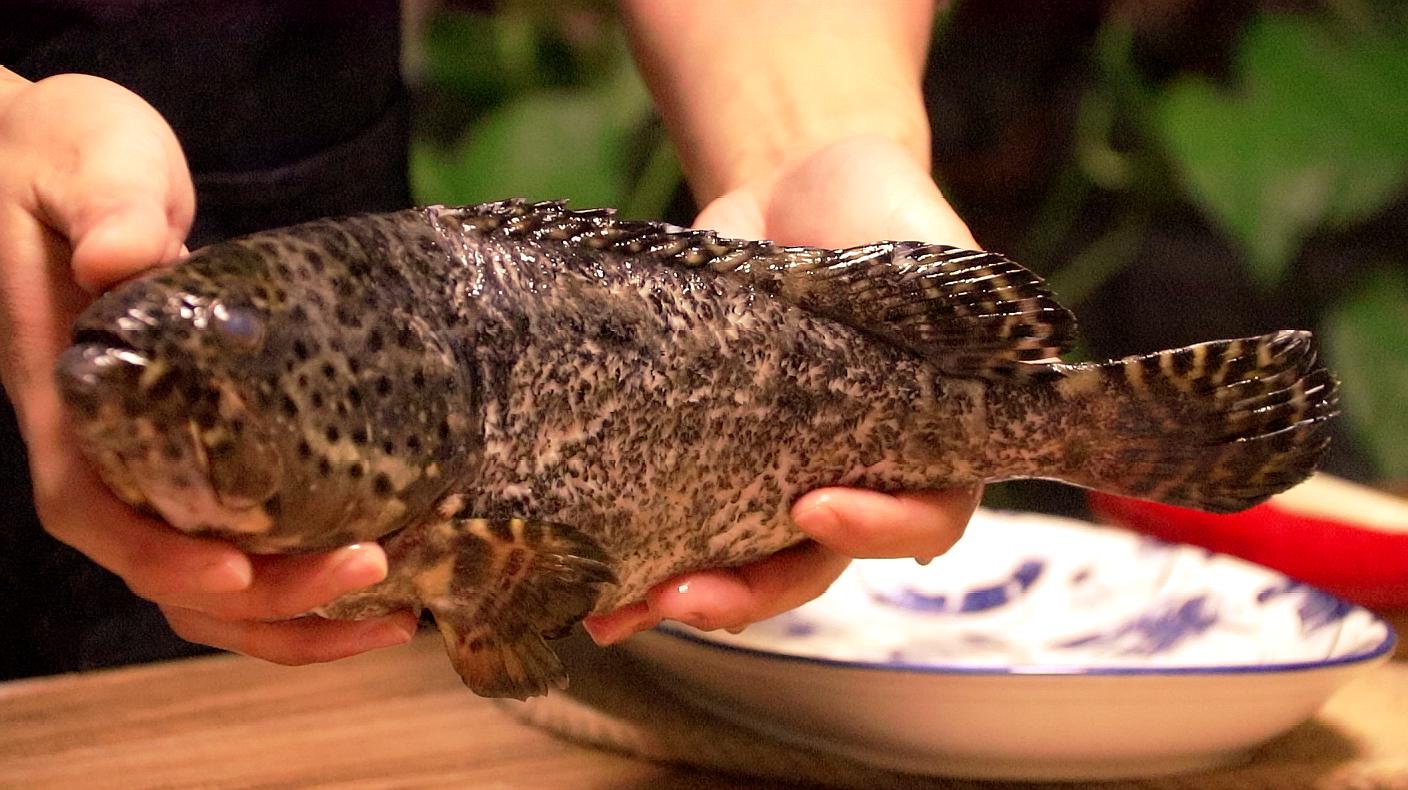 爱吃石斑鱼一定要收藏,这道清蒸做法值得一试,原汁原味肉质还嫩