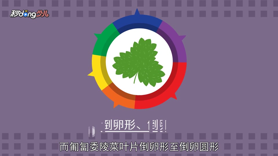 匍枝委陵菜和匍匐委陵菜的区别