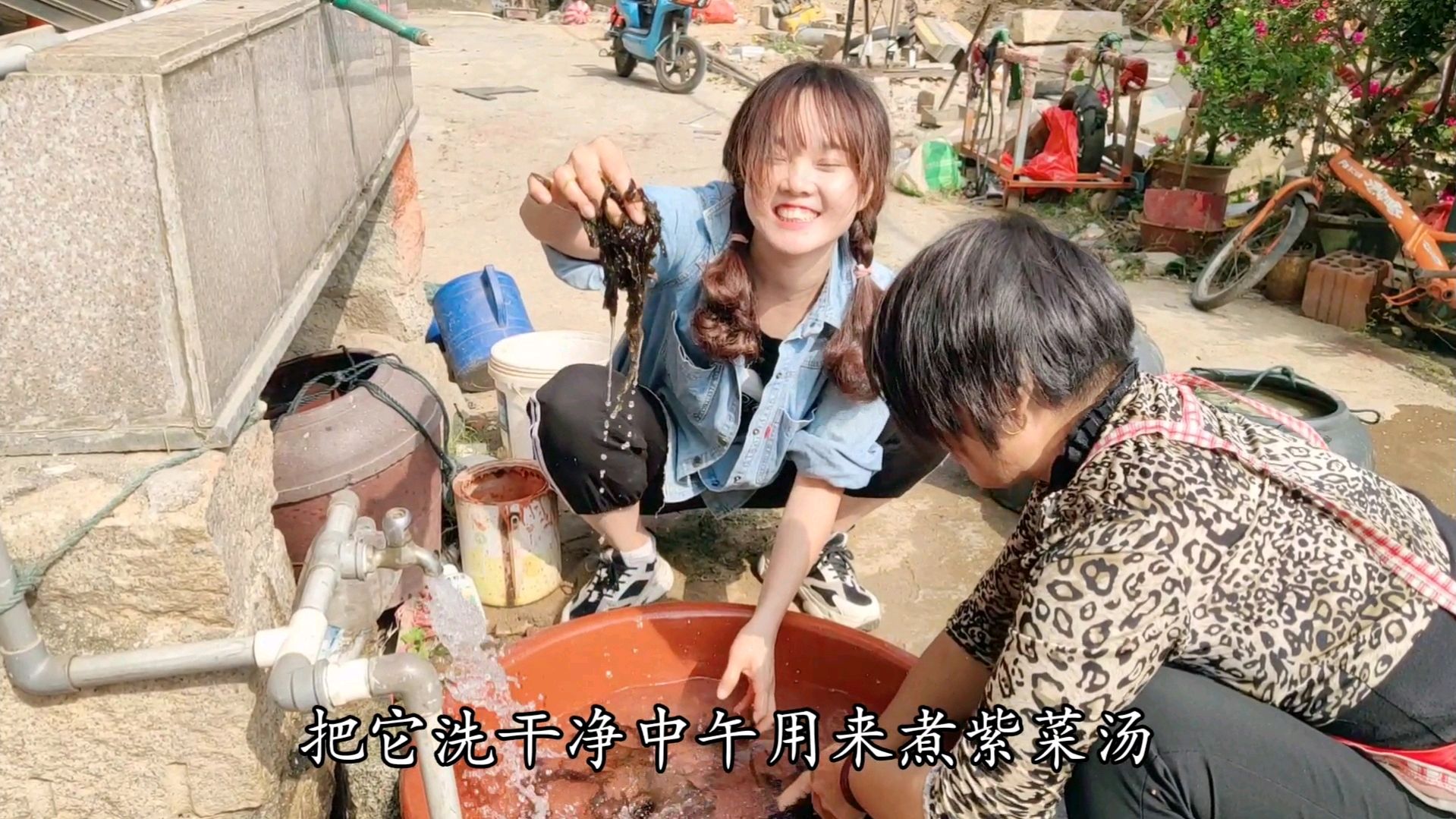 这东西像紫菜又不是紫菜,把它洗净做成下饭菜,你知道它叫什么吗